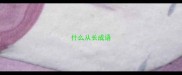 什么从长成语