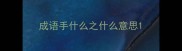 成语手什么之什么意思