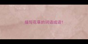 描写花草的词语成语