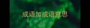 成语加成语意思