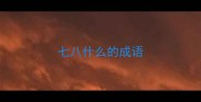 七八什么的成语