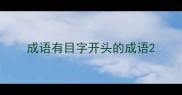 成语有目字开头的成语