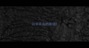 以华开头的成语