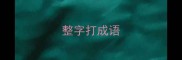 整字打成语