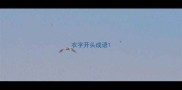 衣字开头成语
