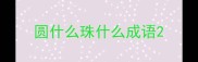 圆什么珠什么成语