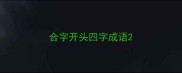合字开头四字成语