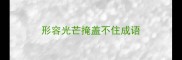 形容光芒掩盖不住成语