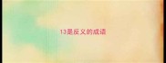 13是反义的成语