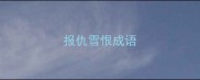 报仇雪恨成语
