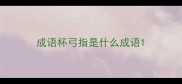 成语杯弓指是什么成语