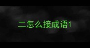 二怎么接成语
