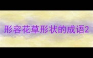 形容花草形状的成语