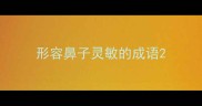 形容鼻子灵敏的成语