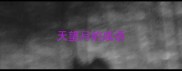 天望月的成语