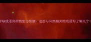 羊绿成语背后的生态智慧这些与自然相关的成语你了解几个