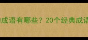 将就凑合的成语有哪些20个经典成语及用法