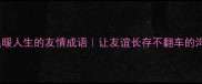 100个温暖人生的友情成语让友谊长存不翻车的沟通指南