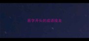 面字开头的成语接龙