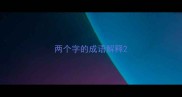 两个字的成语解释