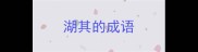 湖其的成语
