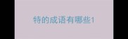 特的成语有哪些