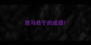 姓马姓于的成语