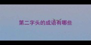 第二字头的成语有哪些