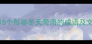 冬雨诗意15个形容冬天带雨的成语及文学应用指南