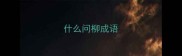 什么问柳成语