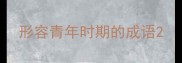 形容青年时期的成语