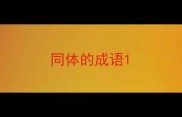 同体的成语