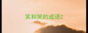 笑和哭的成语