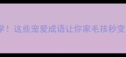 宠物教育必学这些宠爱成语让你家毛孩秒变高智商萌宠
