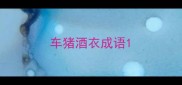 车猪酒衣成语