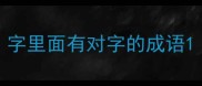 字里面有对字的成语