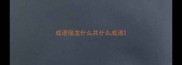 成语接龙什么共什么成语