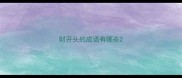 财开头的成语有哪些