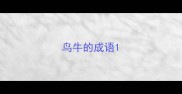 鸟牛的成语