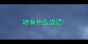 转有什么成语