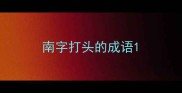 南字打头的成语