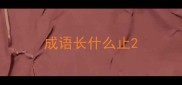 成语长什么止