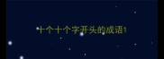 十个十个字开头的成语