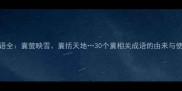 囊字成语全囊萤映雪囊括天地30个囊相关成语的由来与使用指南