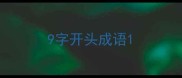 9字开头成语