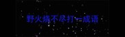野火烧不尽打一成语
