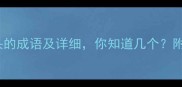50个流字开头的成语及详细你知道几个附用法和例句