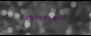 成语什么什么破什么