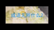 成语无所什么