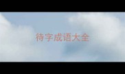 待字成语大全